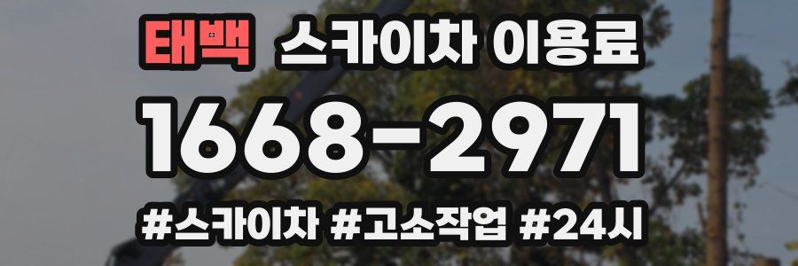 태백 스카이차 이용료