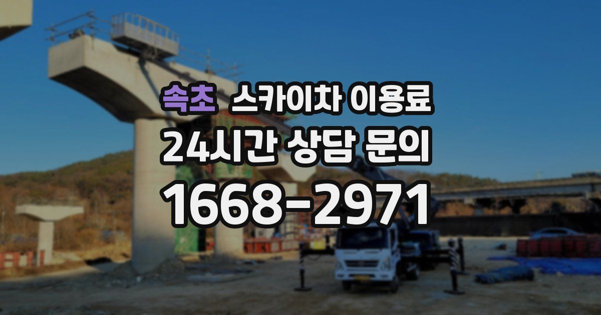 속초 스카이차 이용료