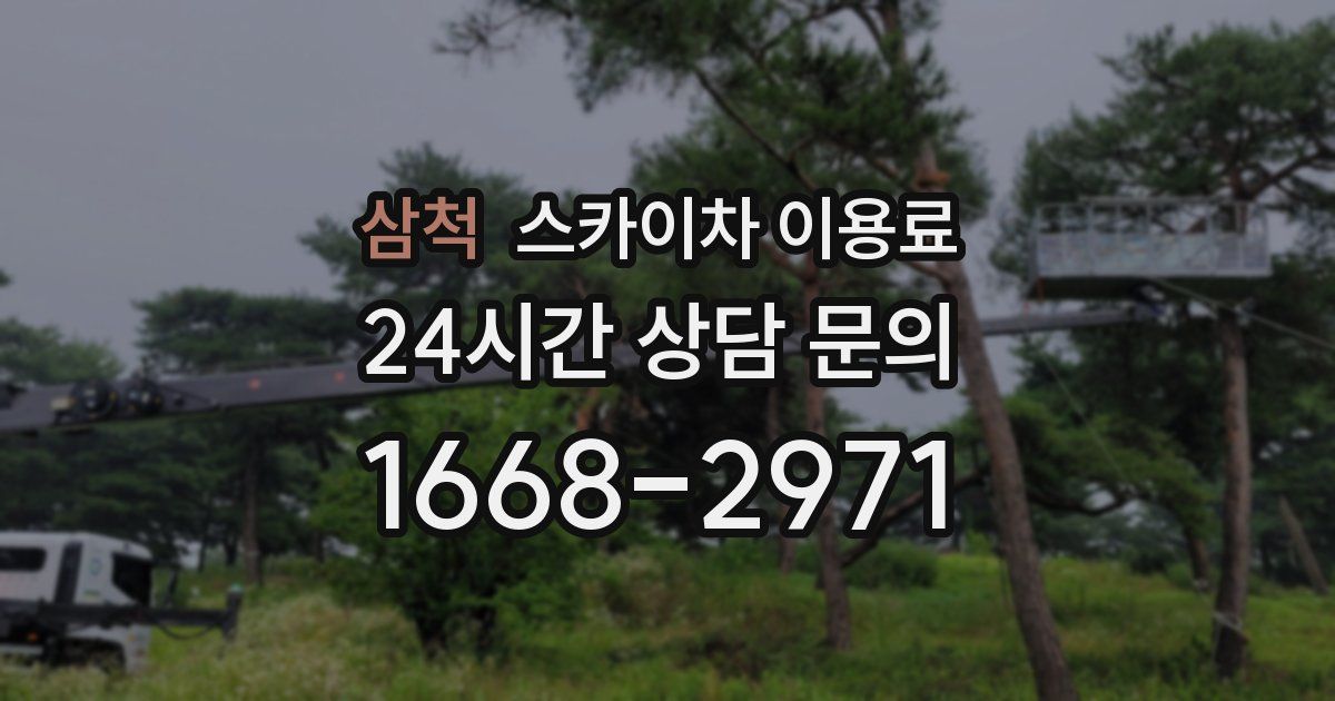 삼척 스카이차 이용료
