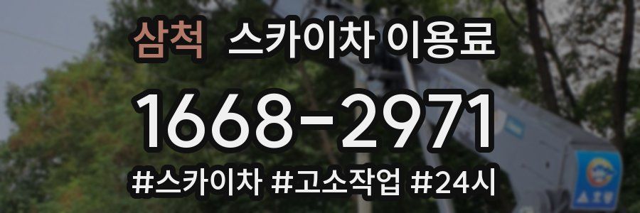 삼척 스카이차 이용료