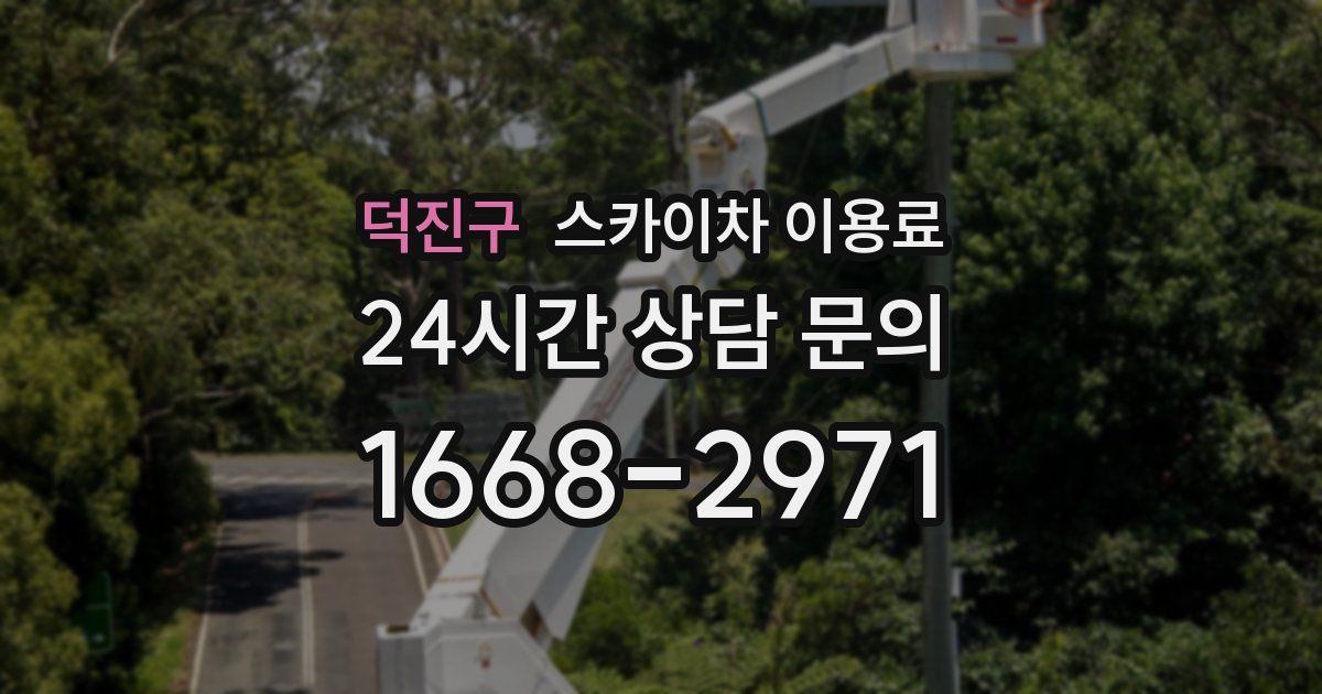 덕진구 스카이차 이용료