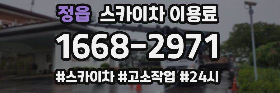 정읍 스카이차 이용료