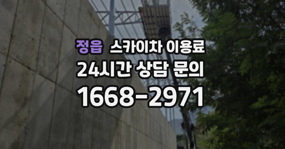 정읍 스카이차 이용료
