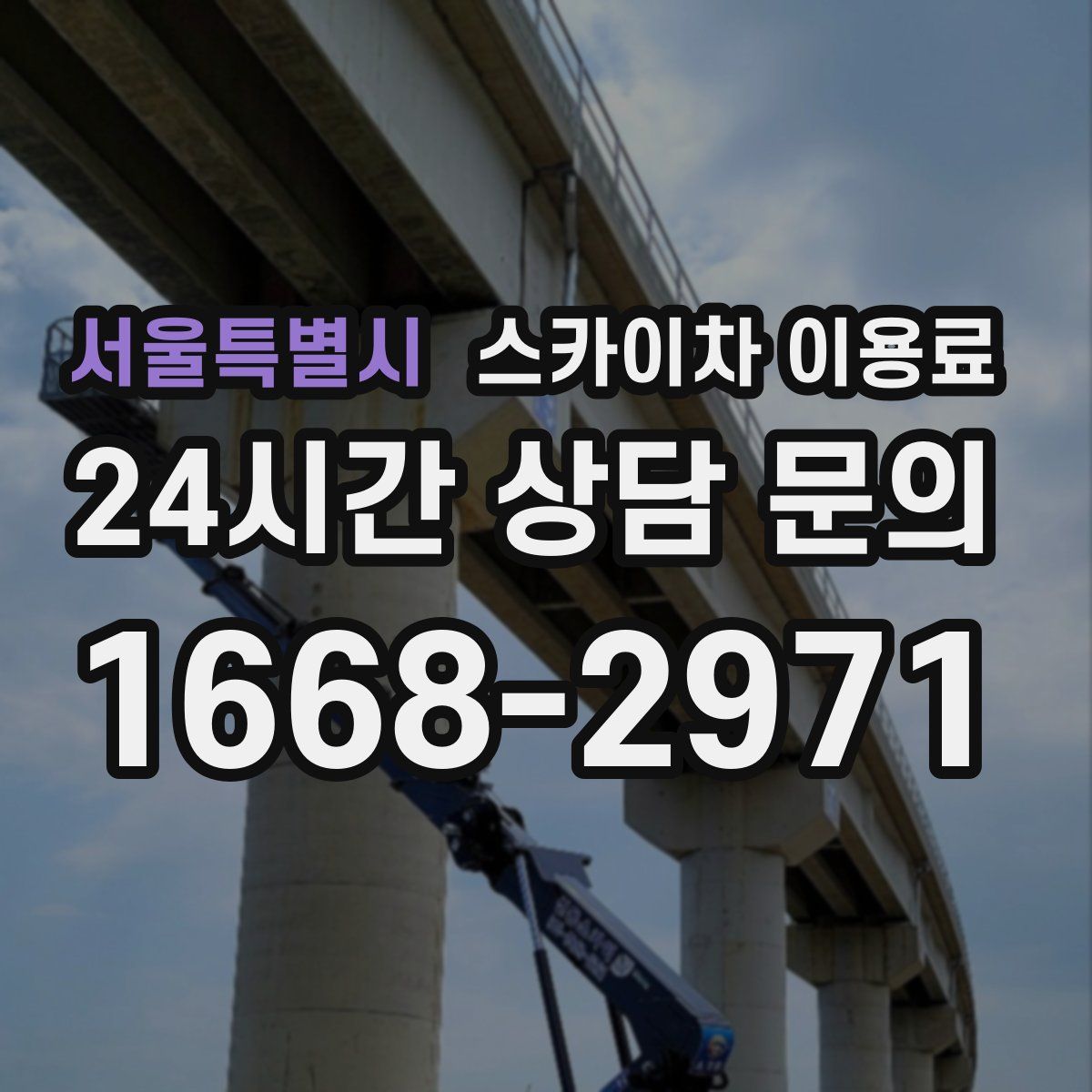 서울특별시 스카이차 이용료
