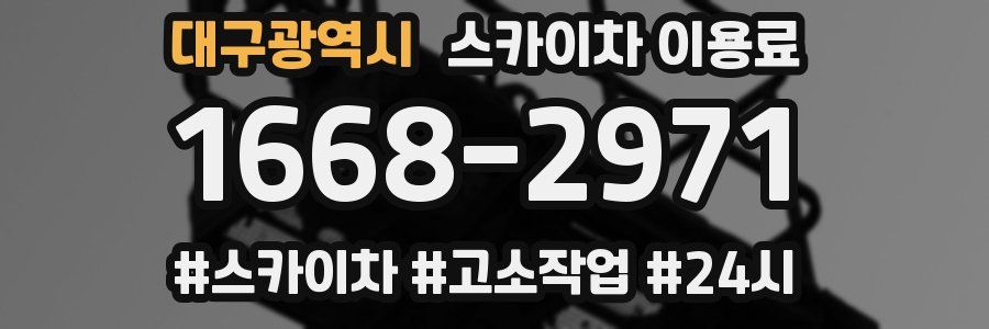 대구광역시 스카이차 이용료