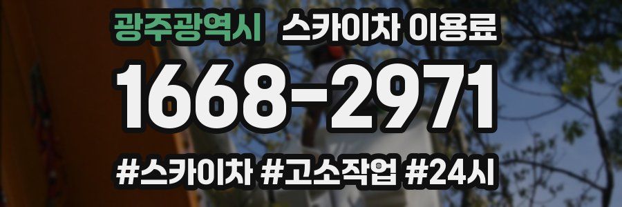 광주광역시 스카이차 이용료