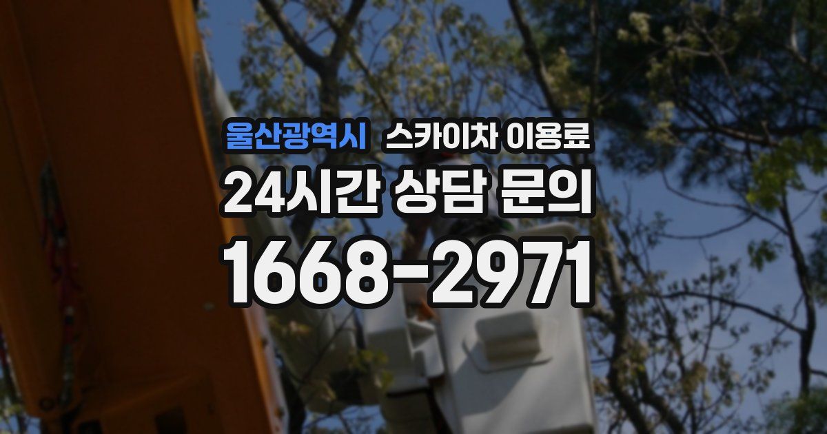 울산광역시 스카이차 이용료