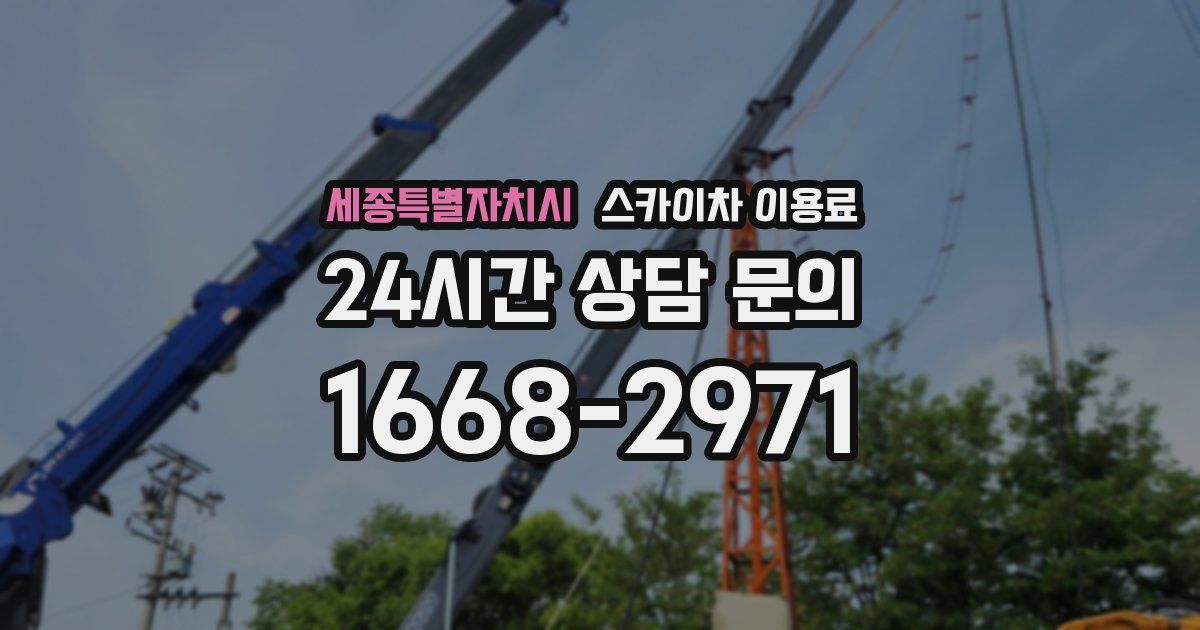 세종특별자치시 스카이차 이용료