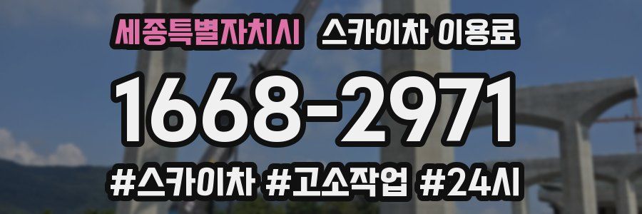세종특별자치시 스카이차 이용료