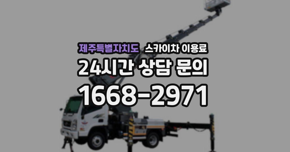 제주특별자치도 스카이차 이용료
