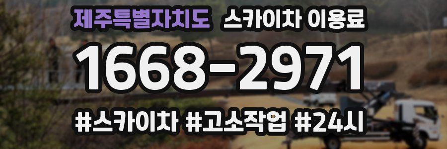 제주특별자치도 스카이차 이용료