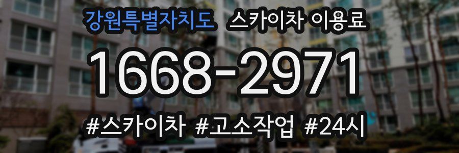 강원특별자치도 스카이차 이용료