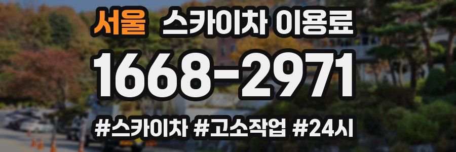 서울 스카이차 이용료