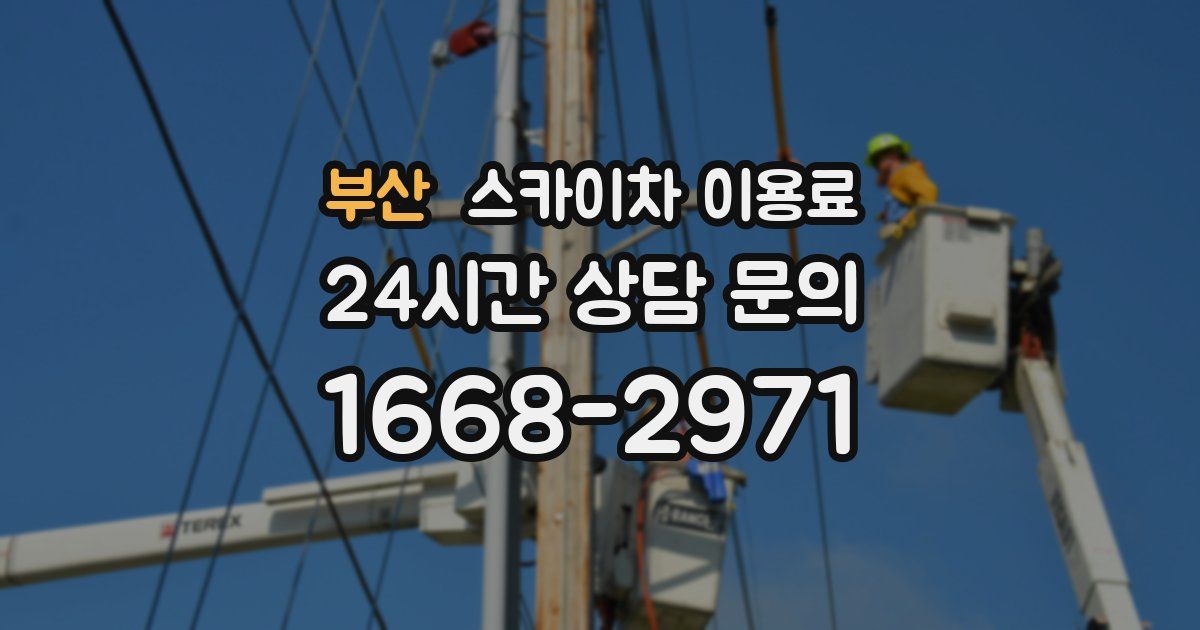 부산 스카이차 이용료