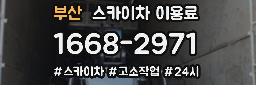 부산 스카이차 이용료