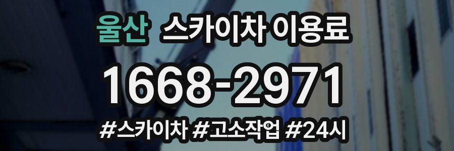 울산 스카이차 이용료