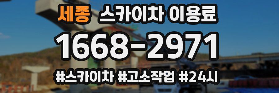 세종 스카이차 이용료