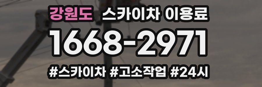 강원도 스카이차 이용료