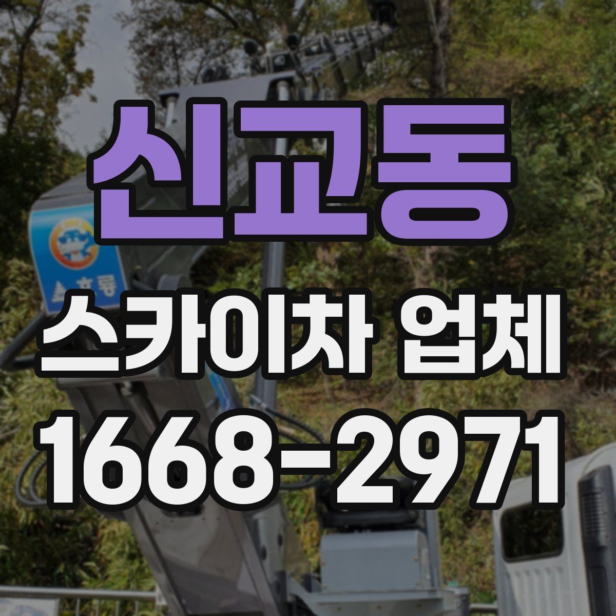 신교동 스카이차 업체