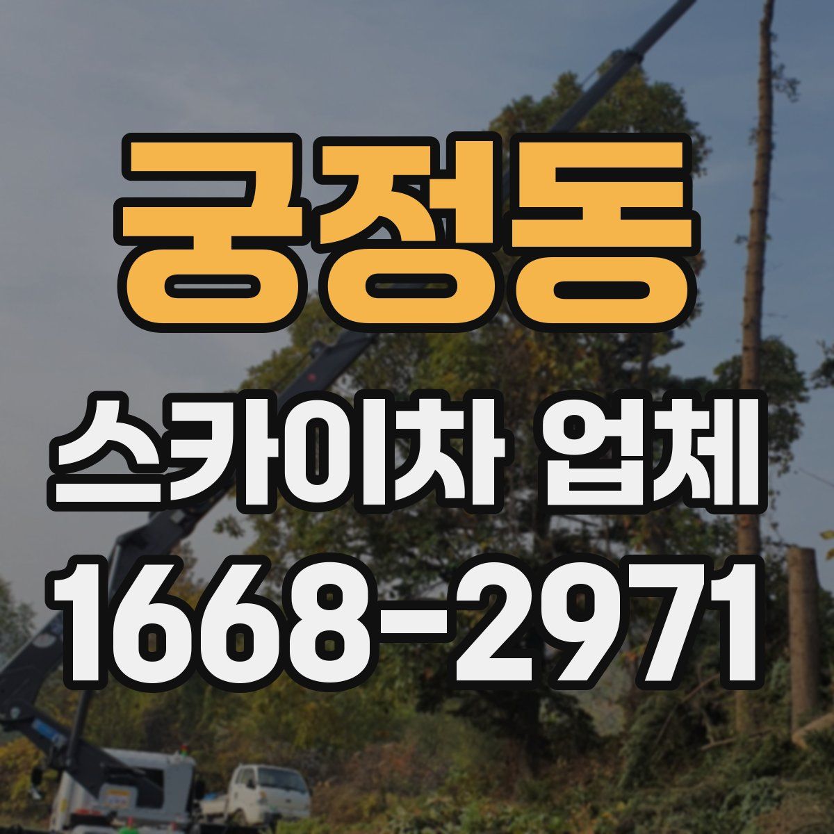 궁정동 스카이차 업체