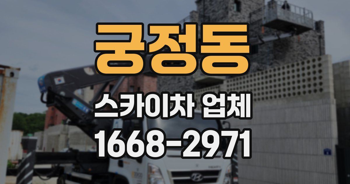 궁정동 스카이차 업체