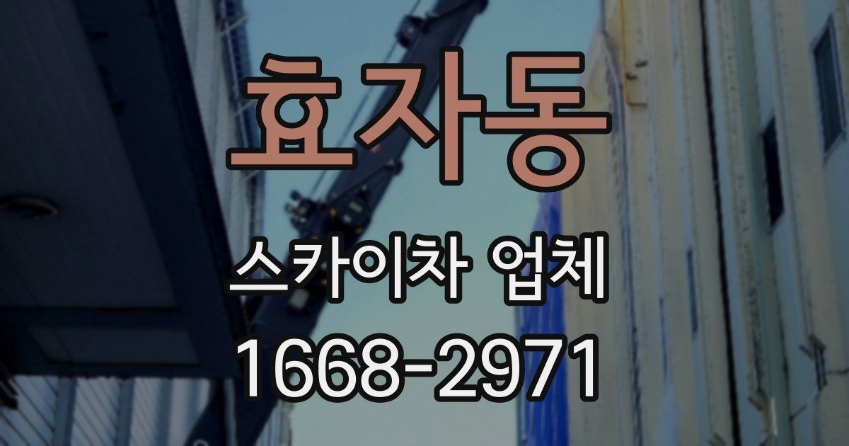 효자동 스카이차 업체