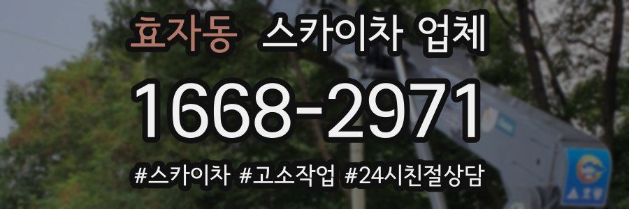 효자동 스카이차 업체
