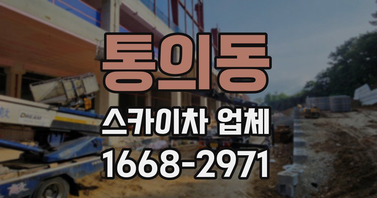 통의동 스카이차 업체