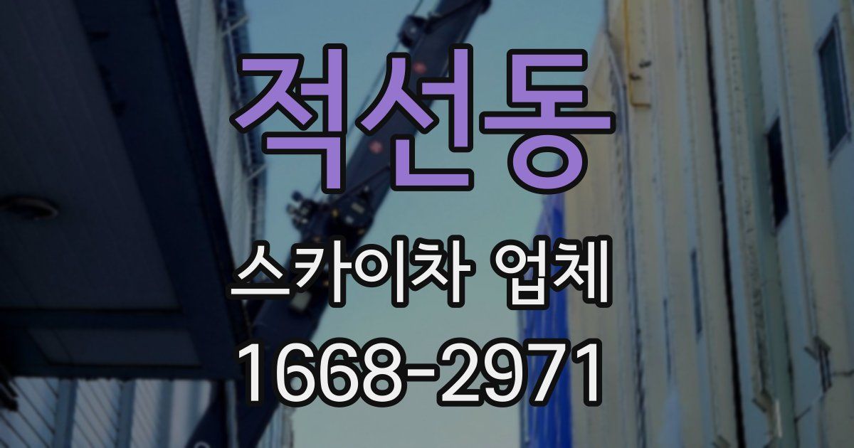 적선동 스카이차 업체