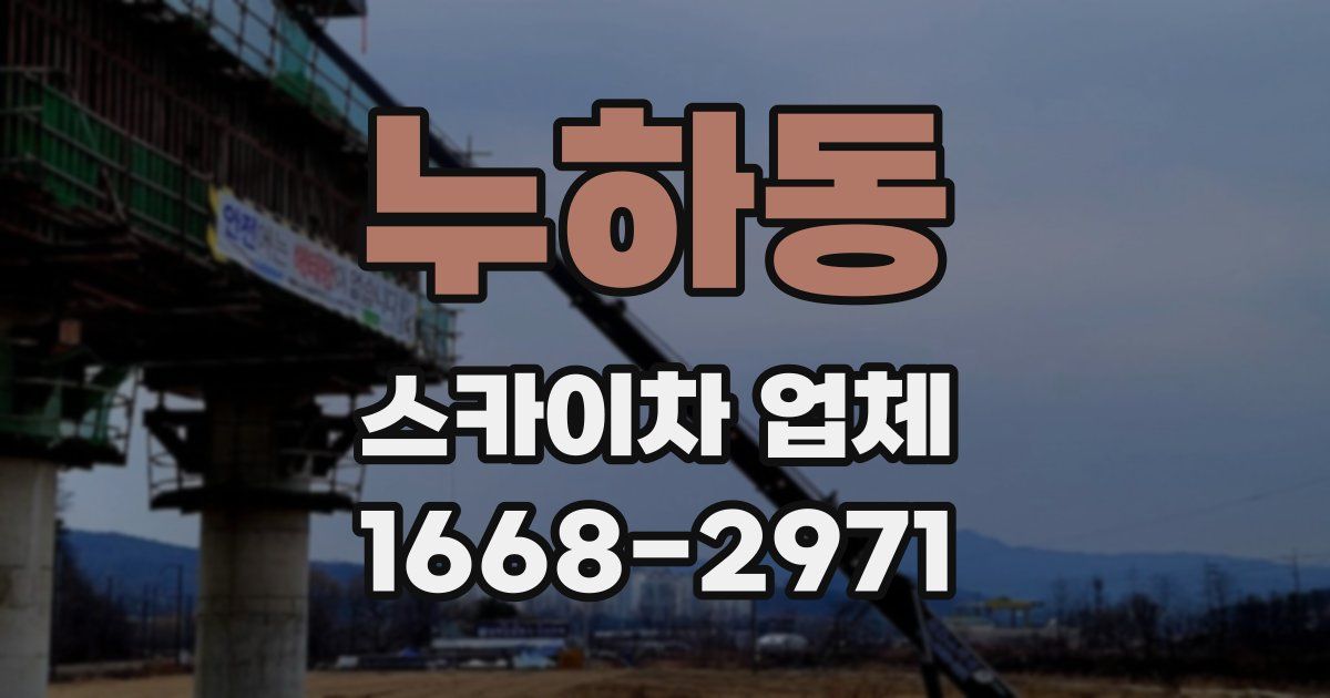 누하동 스카이차 업체