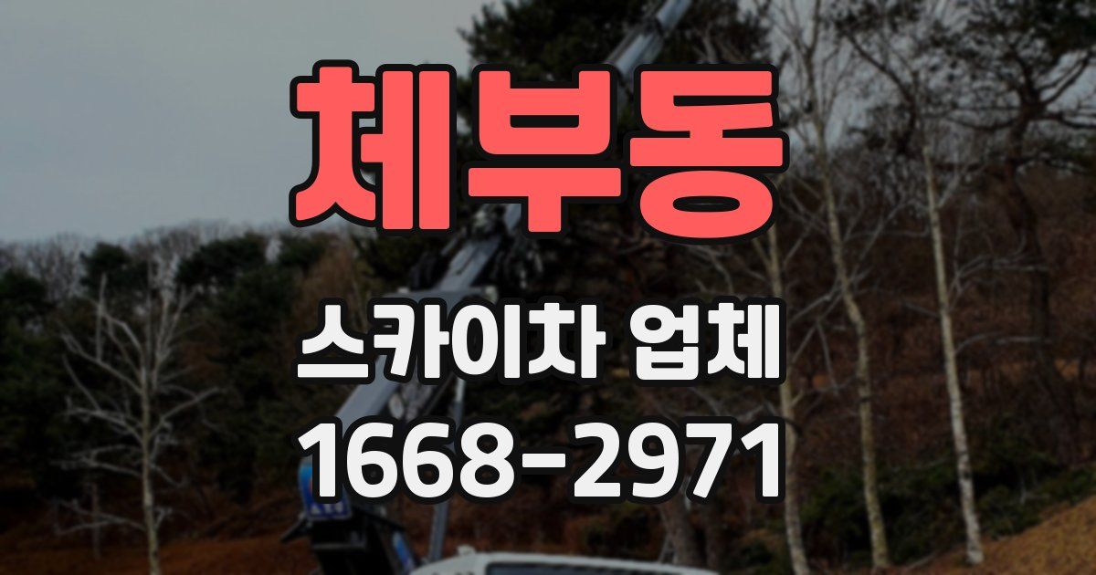 체부동 스카이차 업체