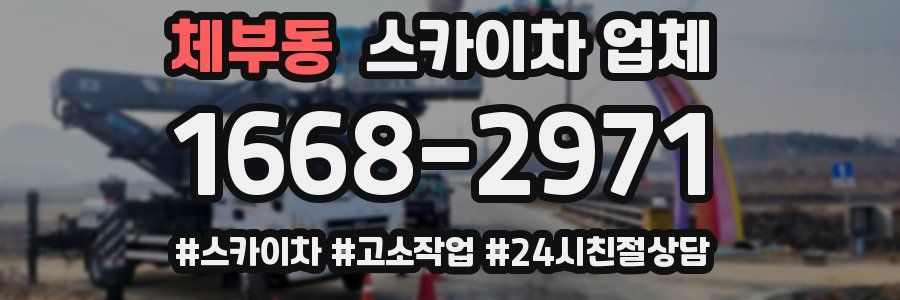 체부동 스카이차 업체