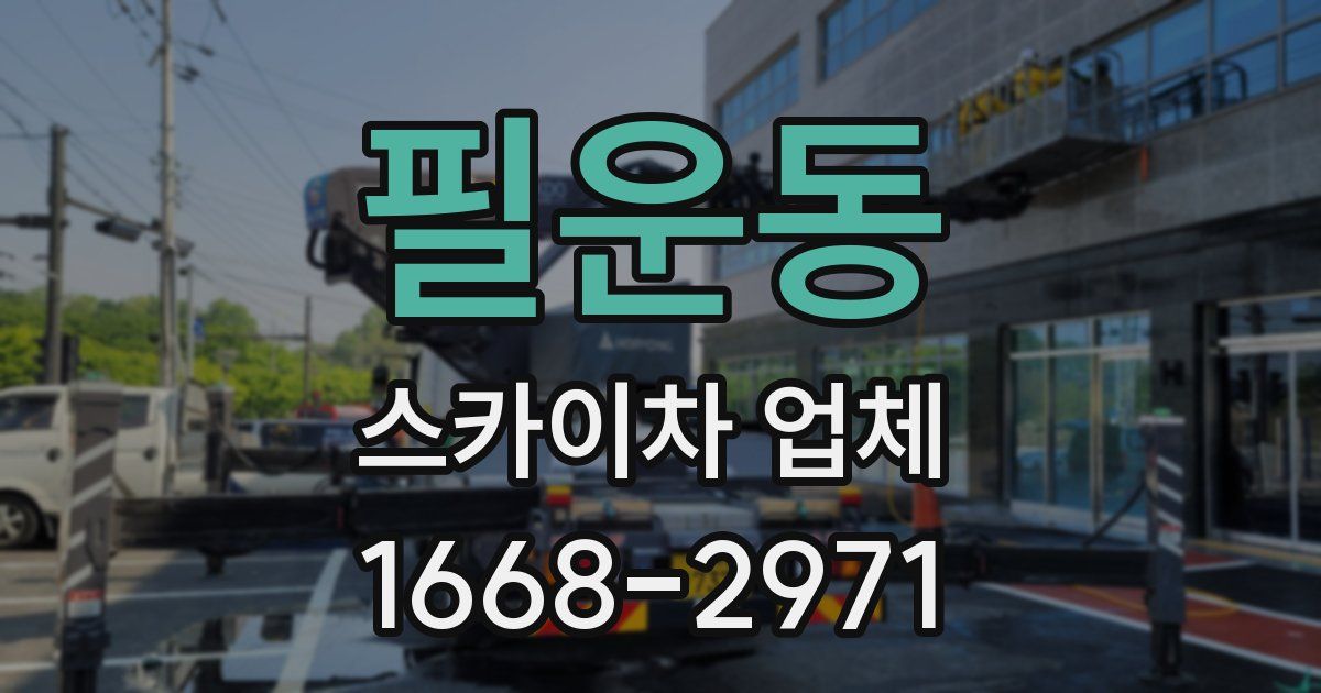 필운동 스카이차 업체