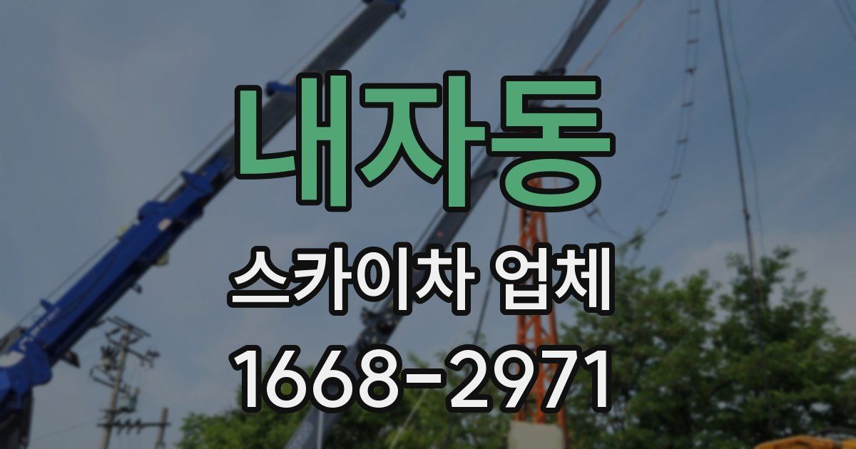 내자동 스카이차 업체