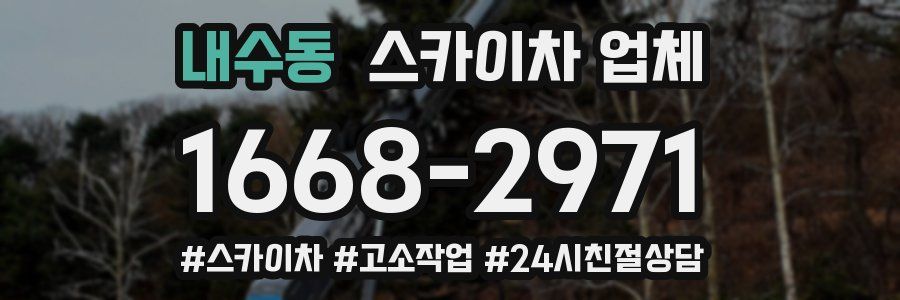 내수동 스카이차 업체