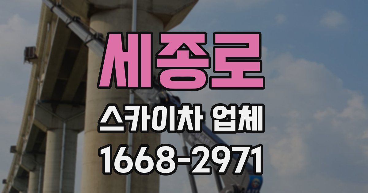 세종로 스카이차 업체