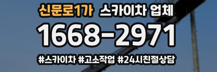 신문로1가 스카이차 업체