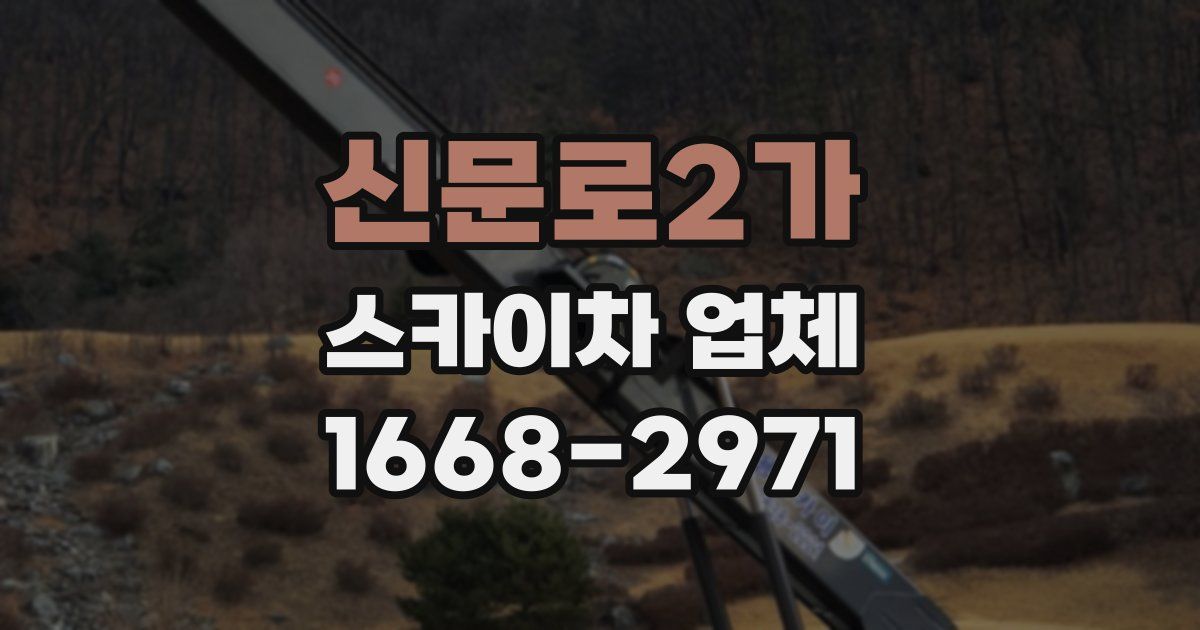 신문로2가 스카이차 업체