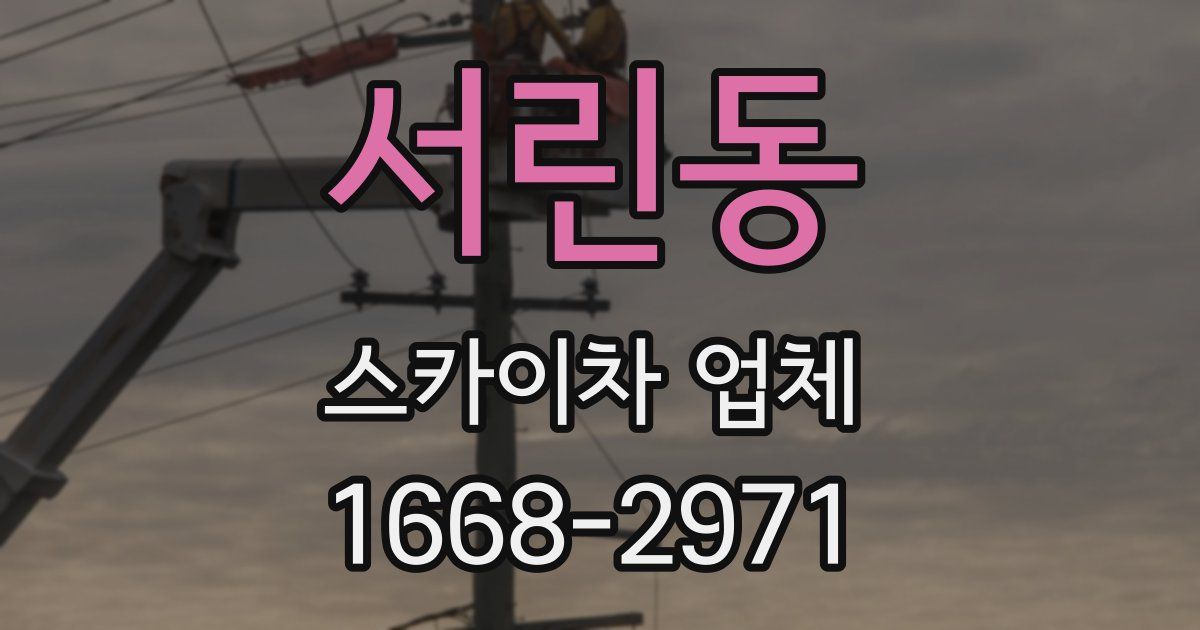 서린동 스카이차 업체