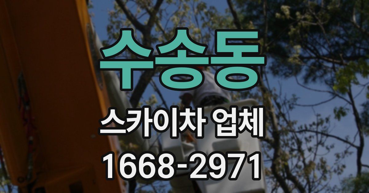 수송동 스카이차 업체