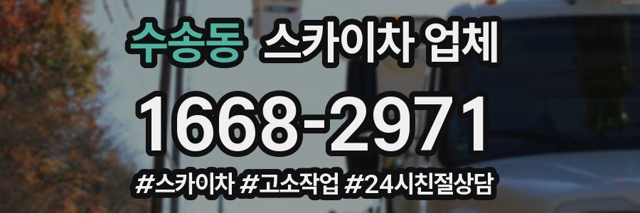 수송동 스카이차 업체