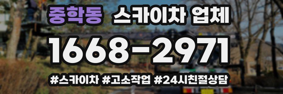 중학동 스카이차 업체