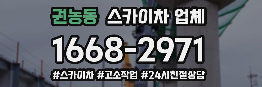 권농동 스카이차 업체