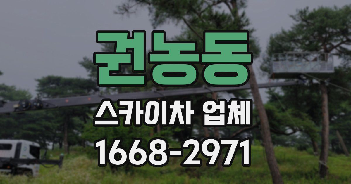 권농동 스카이차 업체