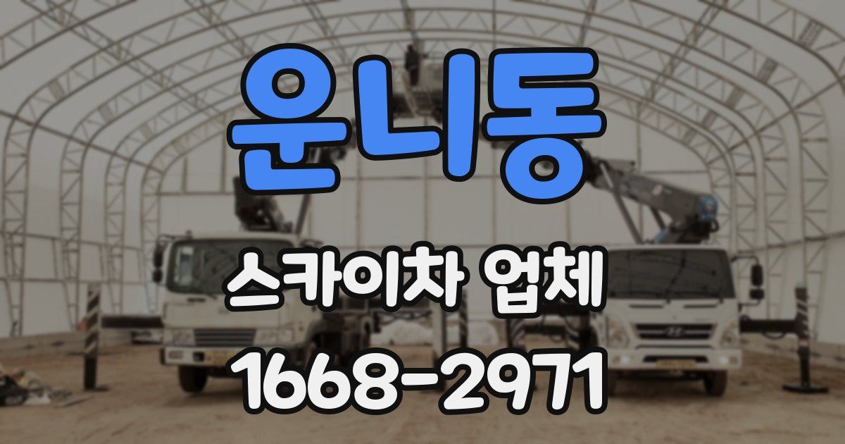 운니동 스카이차 업체