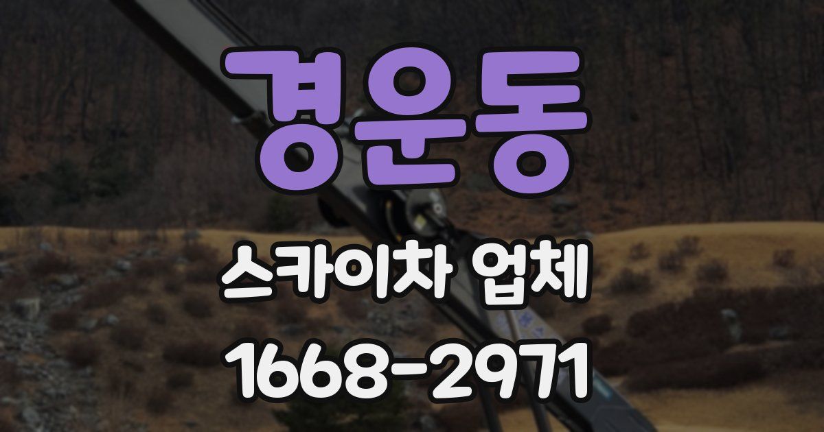 경운동 스카이차 업체