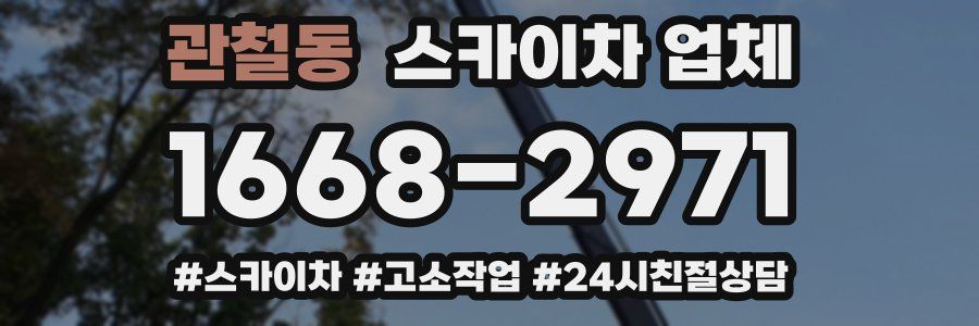 관철동 스카이차 업체