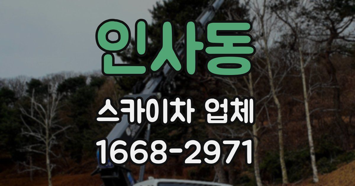 인사동 스카이차 업체