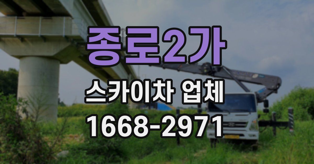 종로2가 스카이차 업체