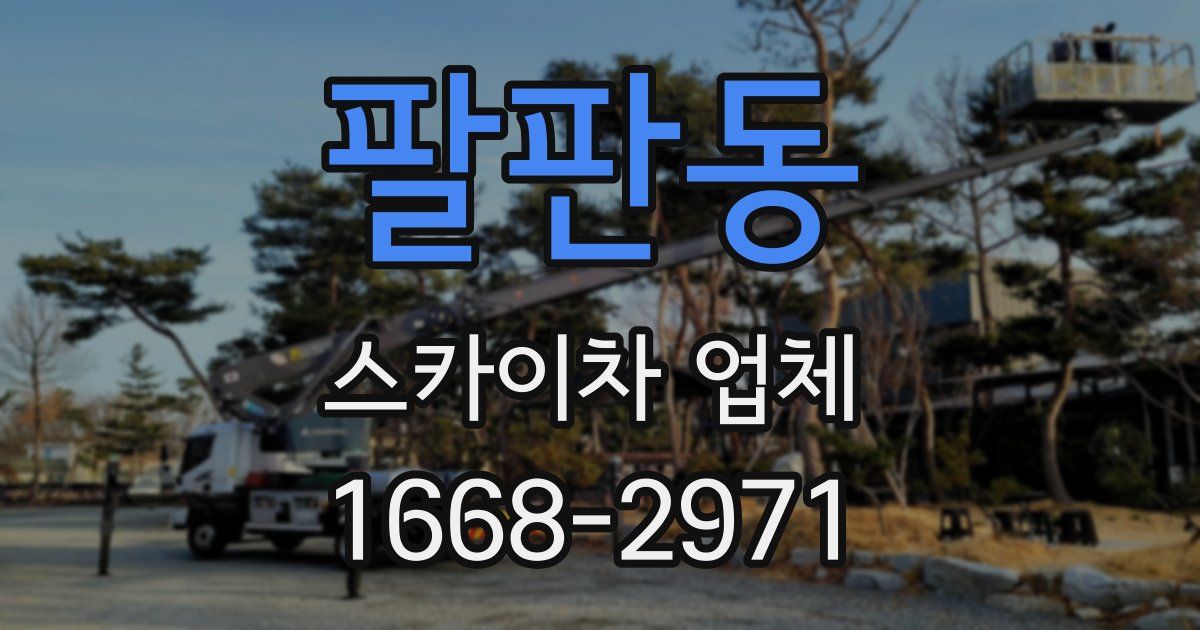팔판동 스카이차 업체